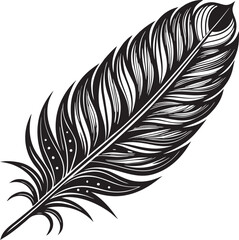 Fototapeta premium Intricate black feather illustration on white background
