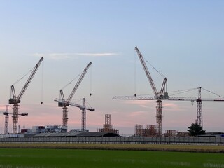 Construction tower cranes on a farm site. Yellow construction tower crane isolated on blue sky with white clouds background and front have farm rice. 