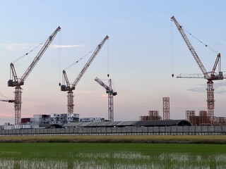 Construction tower cranes on a farm site. Yellow construction tower crane isolated on blue sky with white clouds background and front have farm rice. 