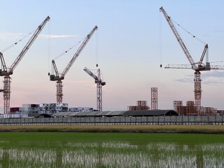 Construction tower cranes on a farm site. Yellow construction tower crane isolated on blue sky with white clouds background and front have farm rice. 