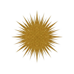 Radiant golden starburst graphic with intricate filigree details shining brightly