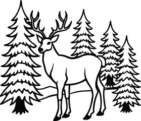 A majestic deer stands peacefully in a dense forest with tall pine trees wildlife isolated on white background isolated on transparent background
