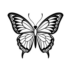 Detailed black and white sketch of a beautiful butterfly with intricate wing patterns isolated on white background isolated on transparent background