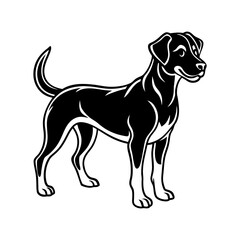Black and white illustration of a medium sized dog standing attentively isolated on white background isolated on transparent background