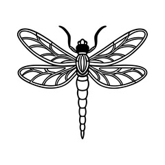 Detailed black and white line drawing of a dragonfly with intricate wing patterns isolated on white background isolated on transparent background