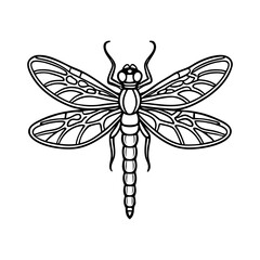 Detailed line art illustration of a dragonfly with intricate wing patterns isolated on white background isolated on transparent background