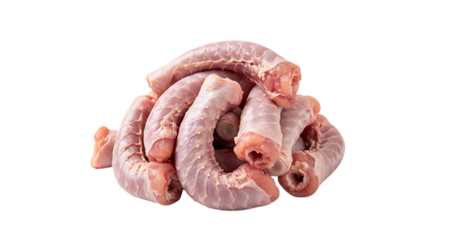 Pile of raw chicken necks isolated on transparent background, showcasing its fresh and uncooked state, perfect for culinary preparations and various dishes