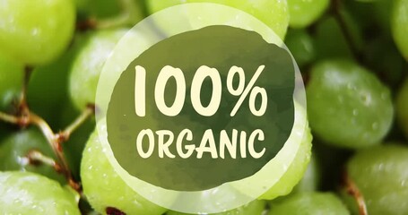 Animation of 100 percent organic text banner against close up of green grapes - Powered by Adobe