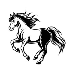 Majestic black and white horse galloping with flowing mane and tail isolated on white background isolated on transparent background