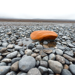 Orange rock in shallow water surrounded by grey pebbles and distant landscape stone