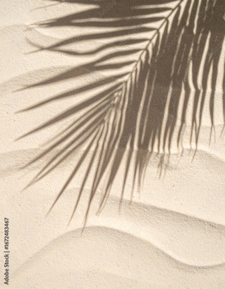 Poster palm leaf shadow on tan fine sand creating abstract coastal pattern beach backdrop