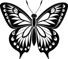 black and white butterfly
