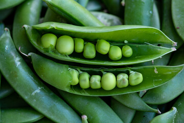 A vibrant macro shot of a freshly opened pea pod, revealing a perfect row of plump, green peas. Symbolizes freshness and wholesome, garden-to-table goodness.