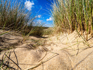 Lligwy bay sand dunes