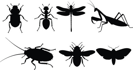 Diverse insect silhouettes collection featuring beetle ant dragonfly praying mantis bee butterfly cockroach silhouette