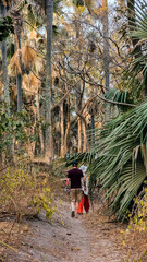 Tourists Walking Through Bijilo Forest