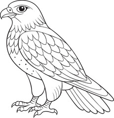 Detailed line drawing of a majestic falcon perched showing feathers and fierce gaze symbolizing power and freedom