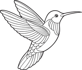 Detailed line art drawing of a hummingbird in flight capturing its graceful wings and delicate features