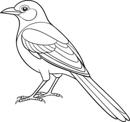 Detailed outline drawing of a magpie bird perched gracefully capturing its distinctive features
