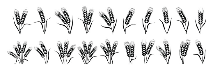 Elegant black wheat stalks illustrations perfect for food, agriculture, and farming-related branding and design projects, ready for commercial use