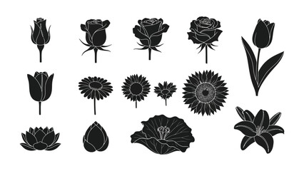Floral silhouette collection: A curated selection of floral silhouettes showcases the delicate beauty of diverse flowers and plants.