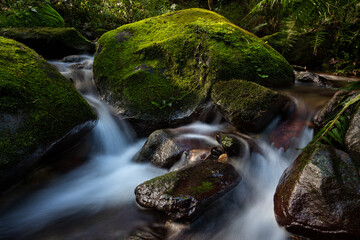 Close-Up of Flowing Stream and Mossy Rocks