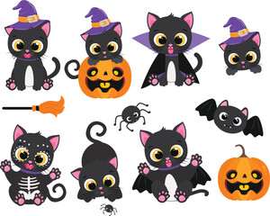 Cute Halloween Cat with pumpkins and costume