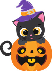 Cute Halloween Cat with pumpkins and costume
