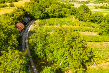 Beautiful green rural landscape in Kalnik vineyard area, Prigorje region, Croatia 