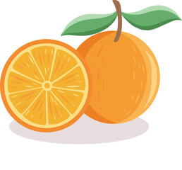 Orange fruit vector illustration in cartoon flat style