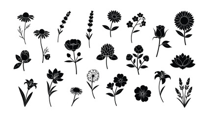 Floral Elegance: A curated collection of botanical illustrations showcases the beauty of various flowers, rendered in a sophisticated monochrome palette, perfect for design applications.