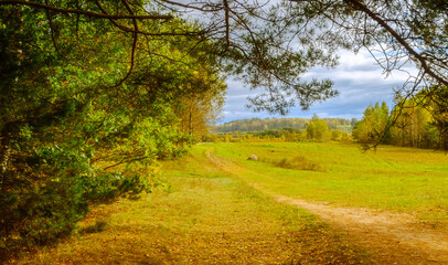 Autumn landscape, autumn forest and valley framed by forest trees