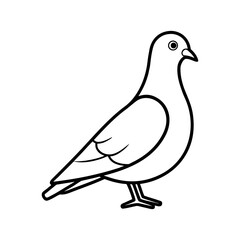 Pigeon Outline Vector on White Background