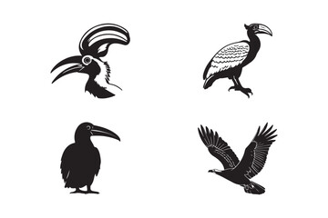 Fototapeta premium Vintage style illustrations of four distinct birds