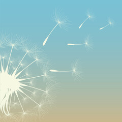 Vector illustration of dandelion time. White Beautiful realistic Dandelion seeds blowing in the wind. The wind inflates a dandelion isolated in editable blue sky background.