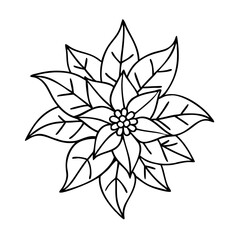 Poinsettia flower outline vector drawing christmas star plant floral design illustration clip art image