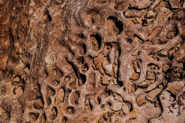 Eroded rock formation under a clear blue sky in Western Australia