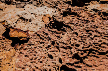 Close-up of eroded rock texture with natural patterns and cavities in Kalbarri, Western Australia