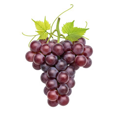 Fototapeta premium A high-quality, studio photograph of a ripe bunch of plump purple grapes with a green vine, a classic fruit, completely visible and perfectly isolated on transparent background.