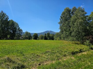 green field and blue sky