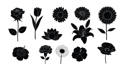 Botanical Bloom: Silhouette of diverse collection of botanical illustration and flower arrangement. Embracing simplicity in black and white.