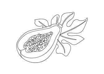 continuous line art drawing of exotic papaya jpg