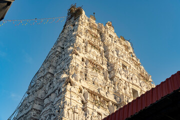 Obraz premium Temple d'Alamelu ammal kovil Tirupati- inde