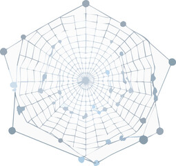 Obraz premium spider web vector