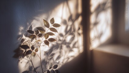 Sunlight streams through a window, casting soft shadows of leaves on a light-gray wall. A small plant branch with delicate leaves is positioned in front of the wall