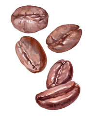 Watercolor coffee beans illustration. Hand painted brown roasted beans isolated on white. Perfect for cafe design, packaging, food decoration, and coffee shop brandin