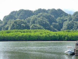 A river with a green forest on either side, big mountain side of river in Krabi Thailand.