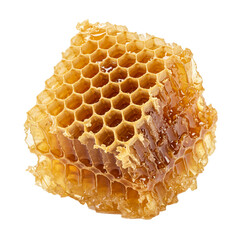Piece of honeycomb showcasing the natural sweetness of fresh honey.
