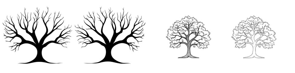 Obraz premium The Tree of Life is represented through a minimalist illustration of a stylized tree set within a circular frame, embodying growth, resilience, and the timeless beauty of nature