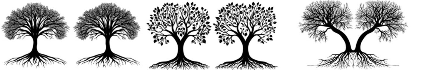 Obraz premium Black and white illustration featuring elegant tree roots design